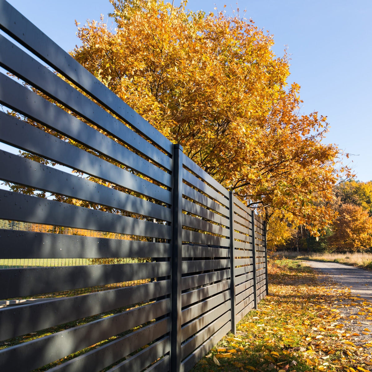 Aluminum Fencing | Door Window Direct