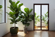 Aluminum Bifold Door 60"Wx80"H - OUT SWING FROM EXTERIOR VIEW image 0